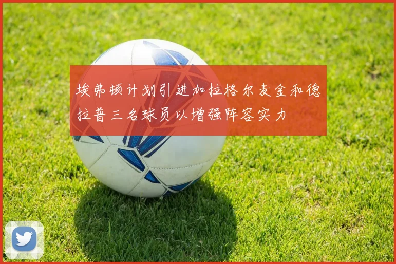 埃弗顿计划引进加拉格尔麦金和德拉普三名球员以增强阵容实力