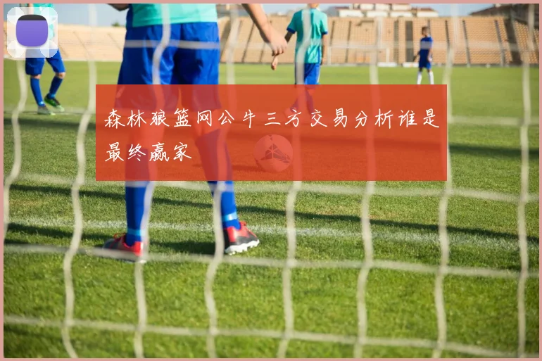 森林狼篮网公牛三方交易分析谁是最终赢家