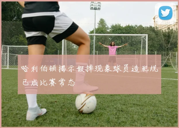 哈利伯顿揭示假摔现象球员造犯规已成比赛常态